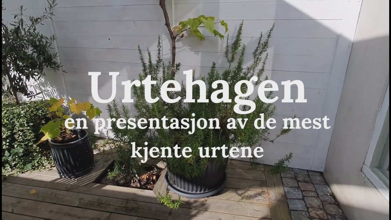 Urtehagen, en presentasjon av de mest kjente urtene