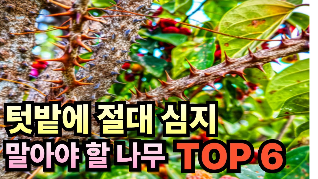 텃밭에 절대 심지 말아야 할 나무 TOP 6. 땅치고 후회합니다
