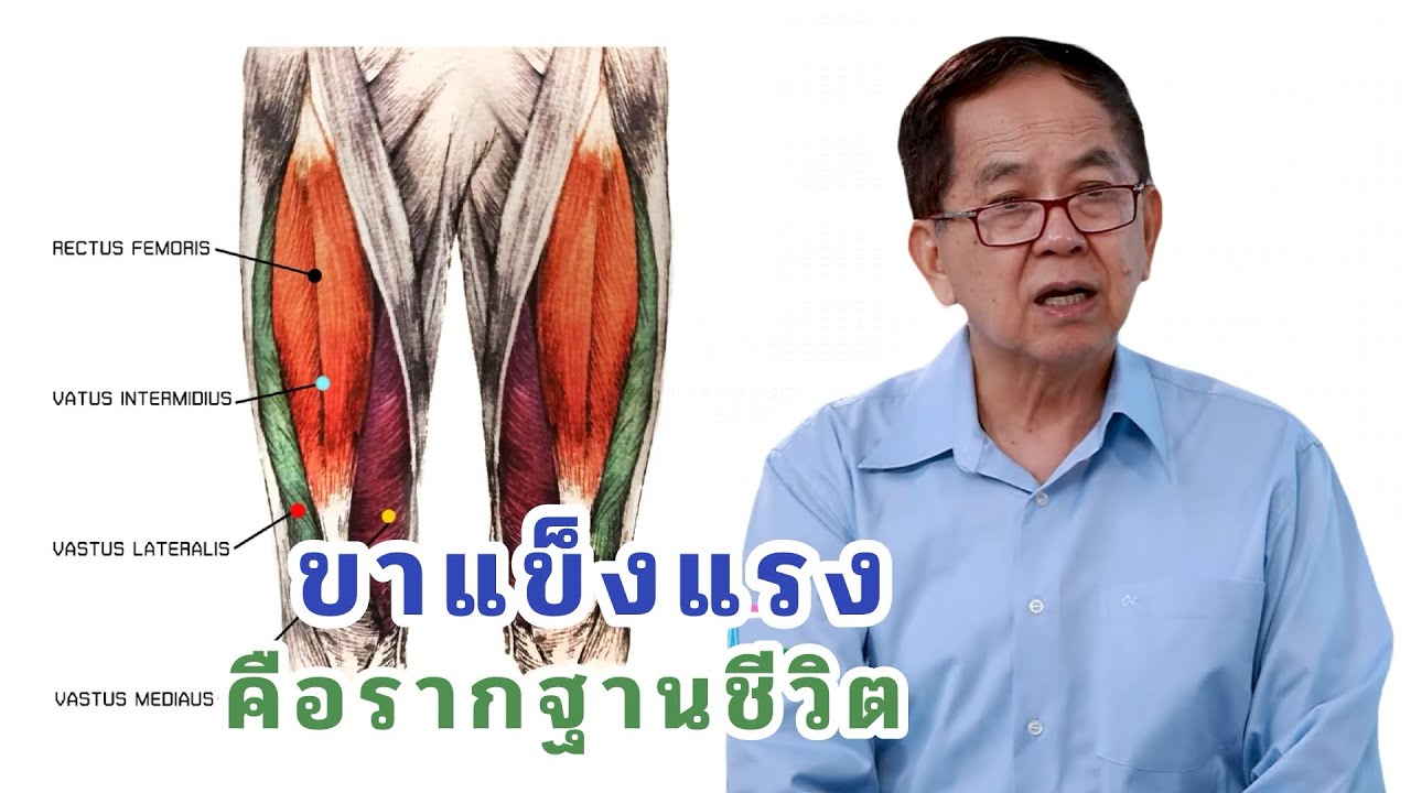 ขาแข็งแรงคือรากฐานวีชิต EP182/2 | ดร.นพ.พรเทพ ศิริวนารังสรรค์