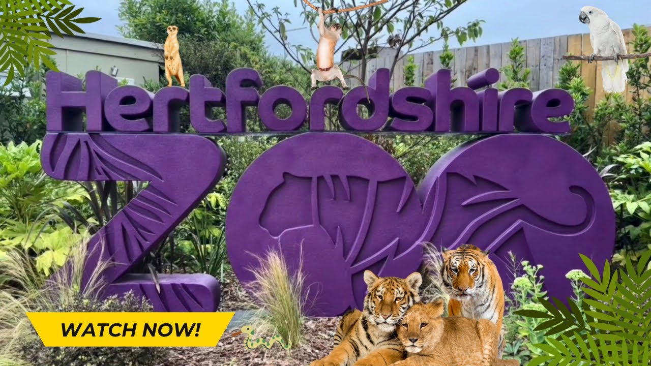 Hertfordshire Zoo | 2024 Walkthrough