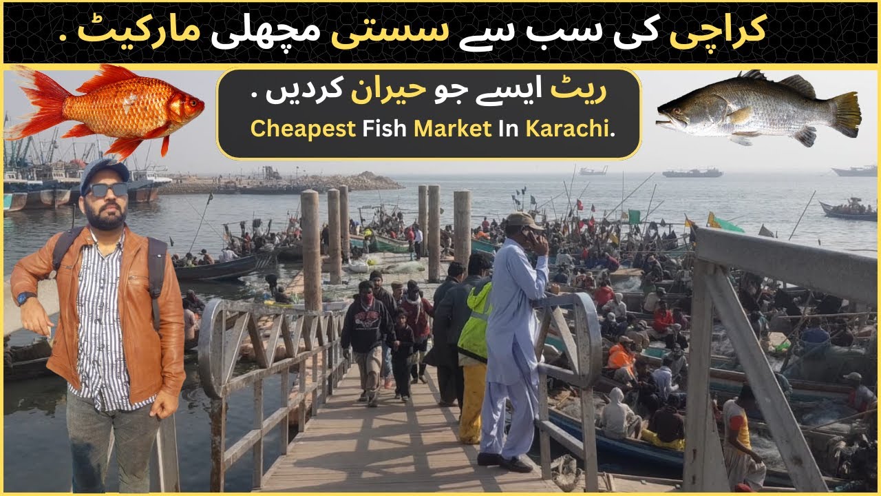 Karachi Ki Sabse Sasti Fish Market || Cheapest Fish Market in Karachi Vlog || Karachi Fisheries