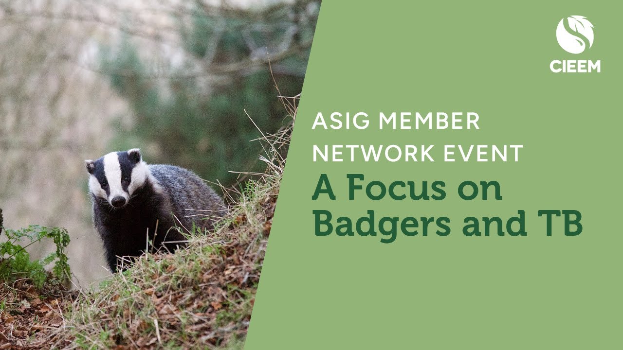 ASIG meeting Feb 2023 - A Focus on Badgers and TB