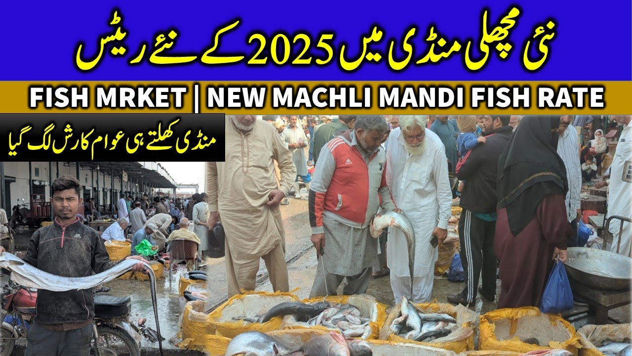 New Machli Mandi Lahore: 🐟 Wholesale Fish Rates Today 2025 | Fresh Fish Market Near Ravi River