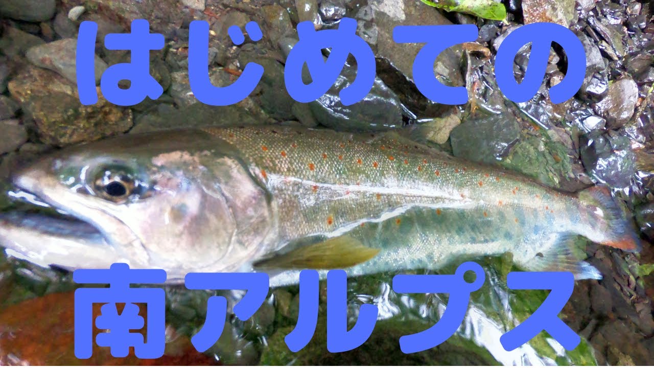 【源流釣り】初めての南アルプスは釣り天国だった