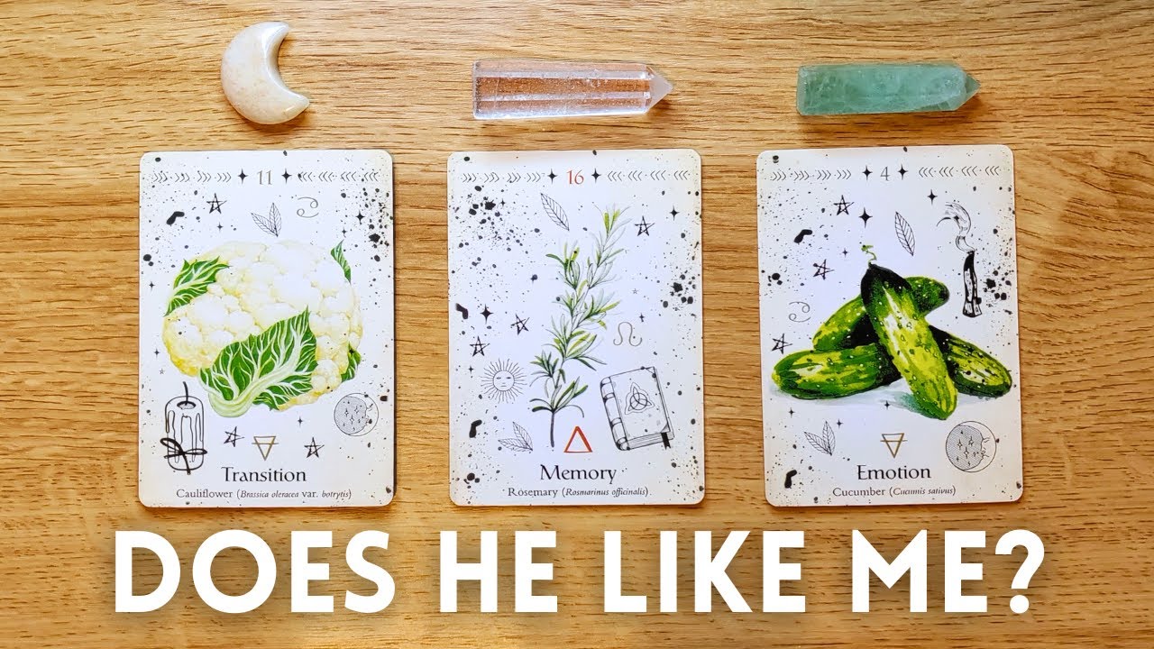 🔥 DOES HE LIKE ME??? 💘🙀🤔 Pick A Card 🔮✨ BLUNT TRUTH!! Timeless Tarot Reading