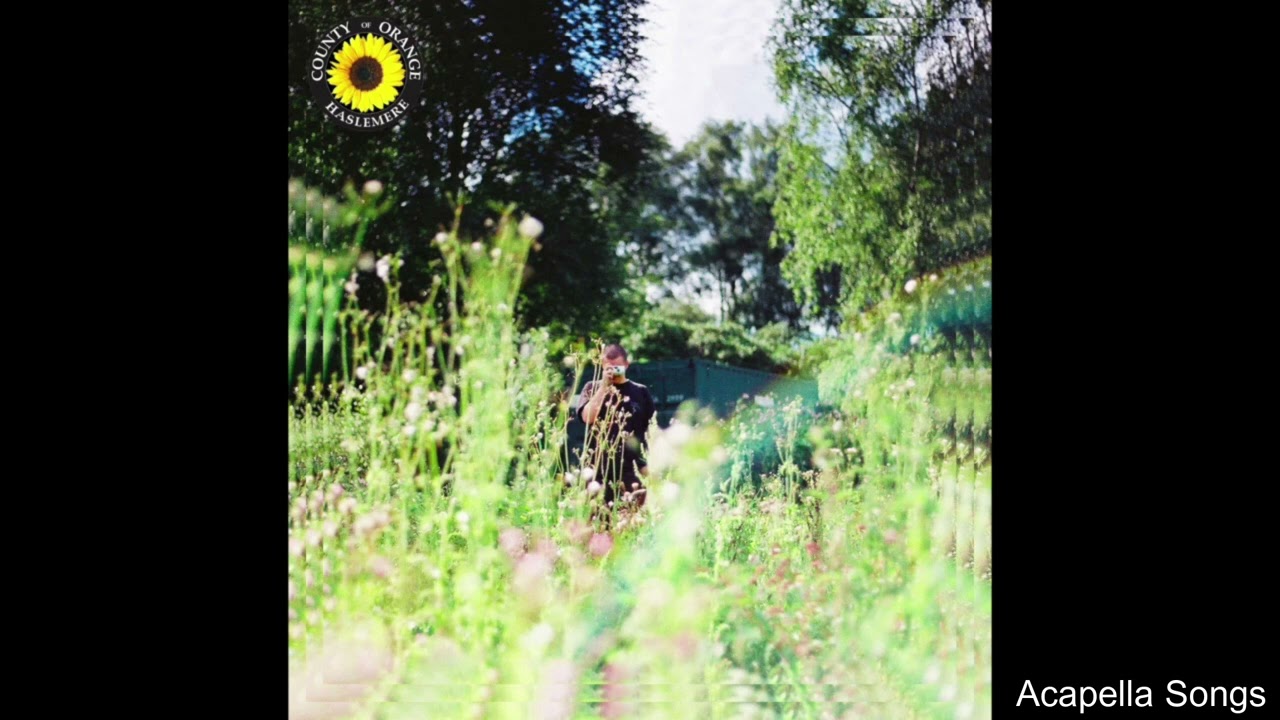 Rex Orange County - Sunflower (Instrumental)