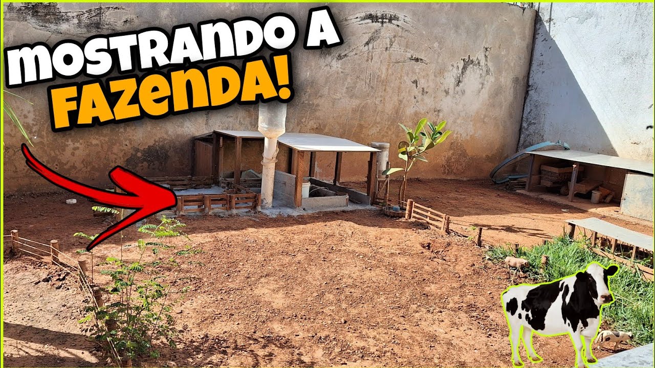 MOSTRANDO COMO ESTÁ A FAZENDA