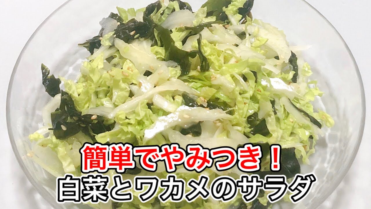 【超簡単】白菜とワカメのやみつきサラダ｜5分で作れる！さっぱり副菜レシピ