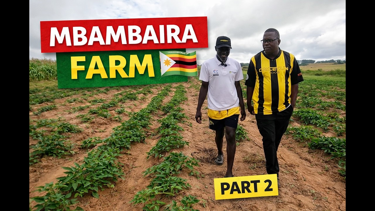 I Was Shocked by Their Land in Zimbabwe 🇿🇼 (Mbambaira Farming Inspiration)