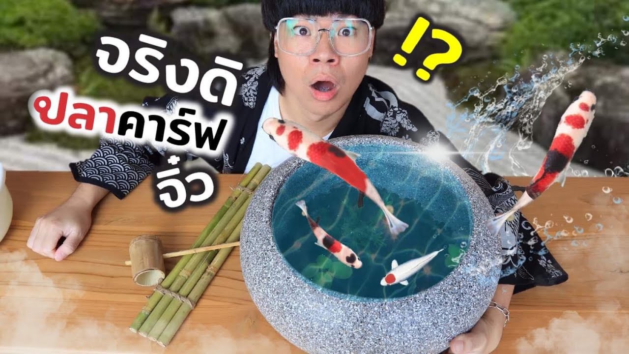 เลี้ยงปลาคาร์ฟจิ๋ว ตัวนิดเดียว...มีจริงดิ??