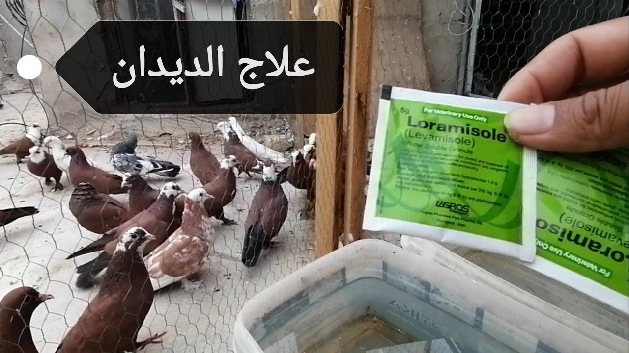 علاج الديدان ✌️✌️✌️وطريقة استخدامه