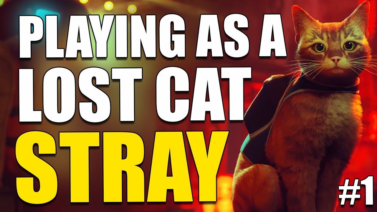 PLAYING AS A LOST CAT (But it's super relaxing) | 