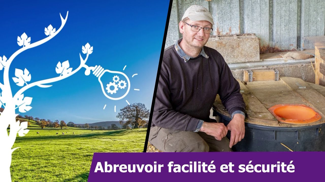 Trucs et astuces d’agriculteurs : Abreuvoir sécurité | Benoît BLOT