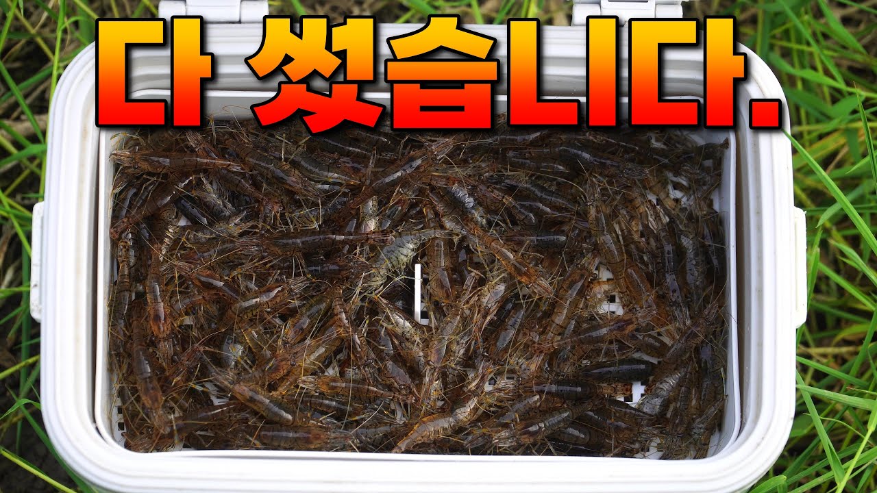 밤새 미친듯이 땡겼습니다. 토종터 소류지 생미끼 붕어낚시