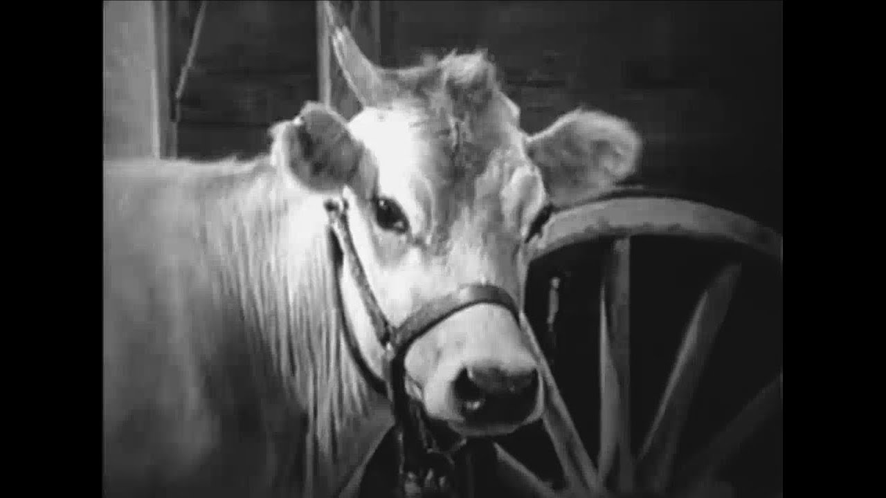 With Love and Kisses (1936) PINKY TOMLIN