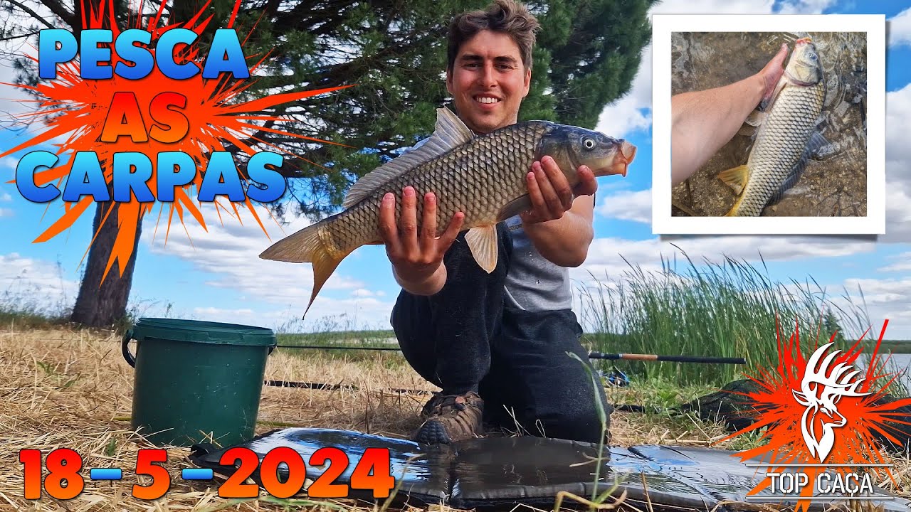 PESCA AS CARPAS 18-05-2024
