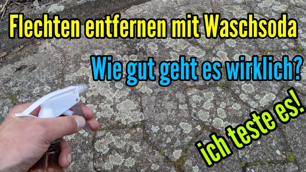 Flechten entfernen auf Pflastersteinen mit Waschsoda Wie gut kann man damit Flechten wegbekommen