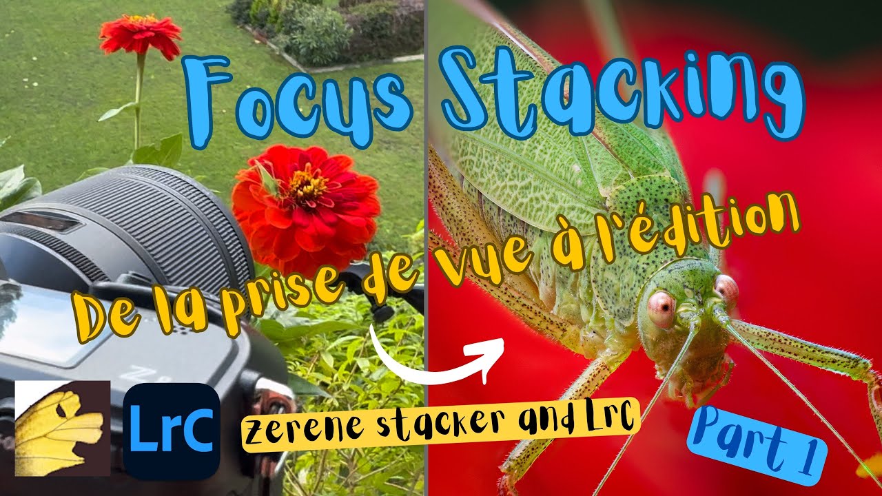 Focus Stacking - De la prise de vue à l'édition - PART 1
