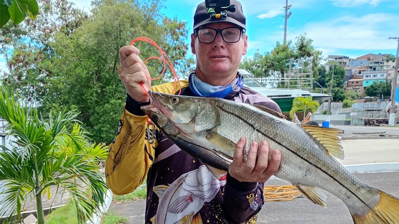 PEGUEI O MAIOR ROBALO DA MINHA VIDA ,USEI UMA MINI ISCA .