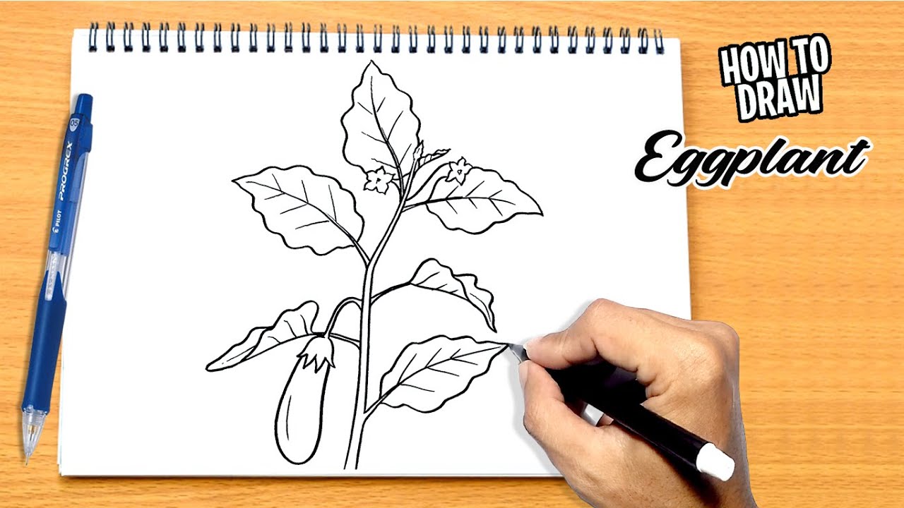 How to draw Eggplant