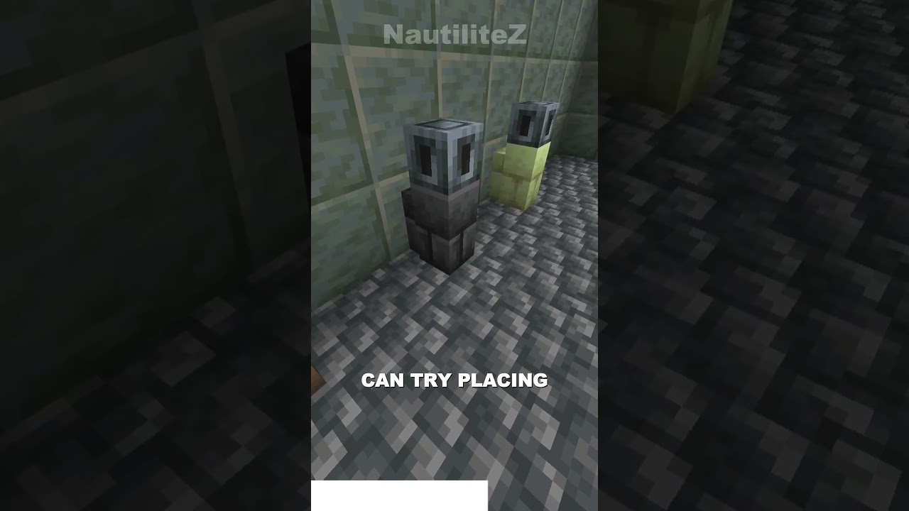 Try THIS RARE Build Hack To FLEX On Your Friends In MINECRAFT!