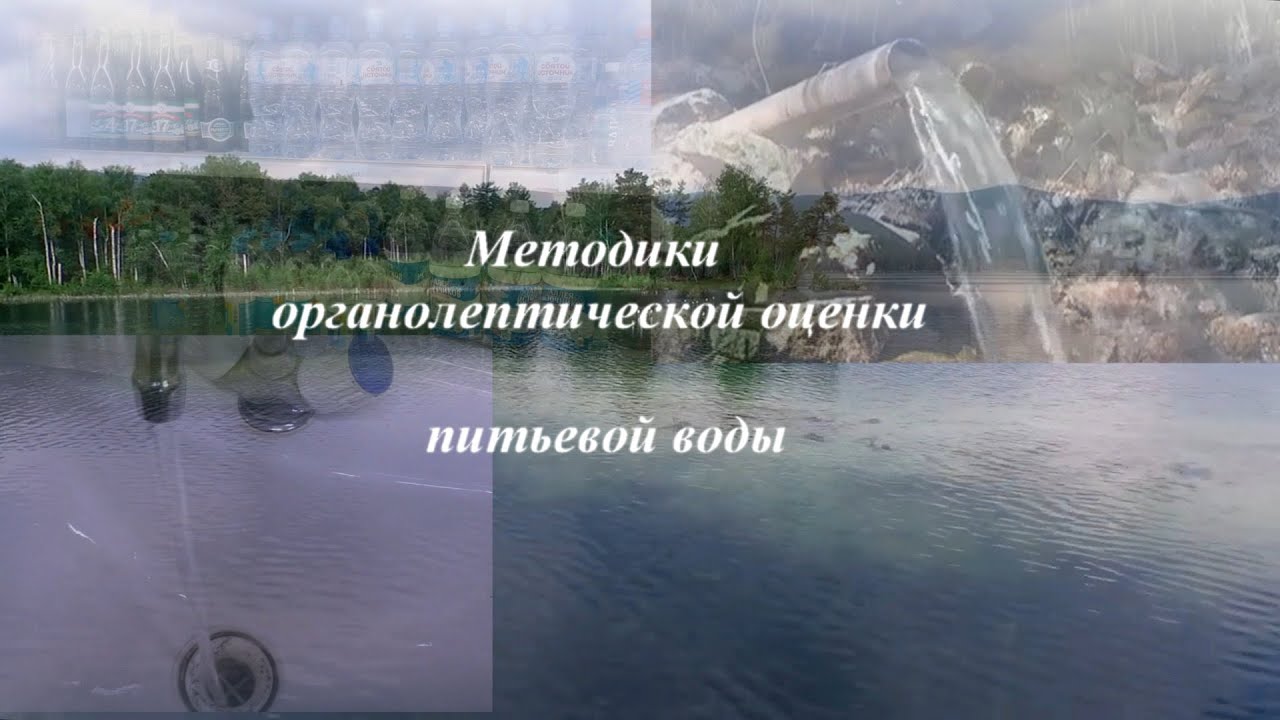 Органолептика воды