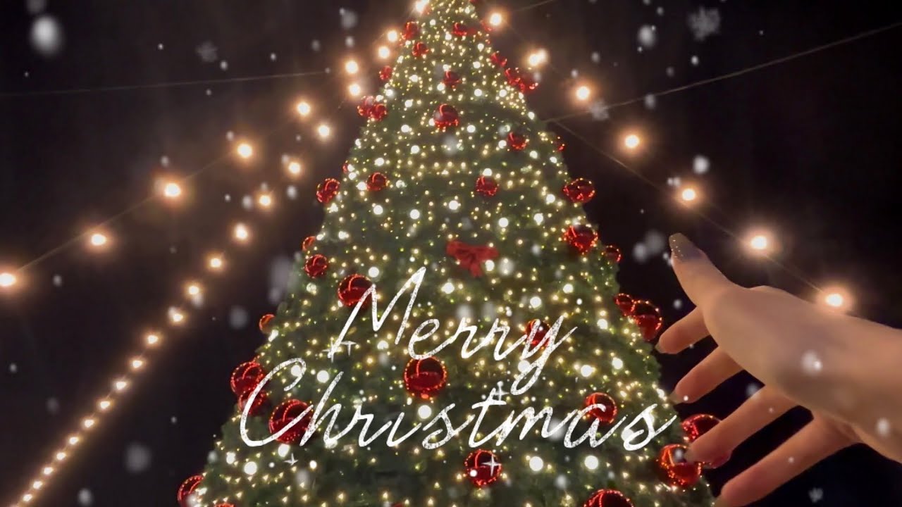 🎄 팅글한 크리스마스 밤 Public ASMR 🌙