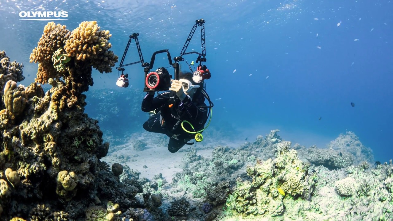 OLYMPUS OM-D E-M5 Mark II and PT-EP13 - Underwater Exploration