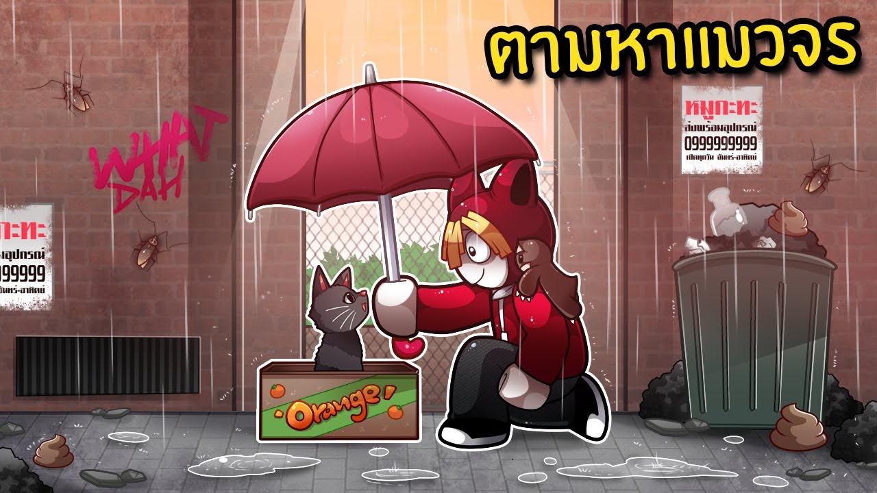 ตามหาแมวจรผู้น่าสงสาร 100 ตัว | Play Cats Morphs: Friend Rescue Roblox