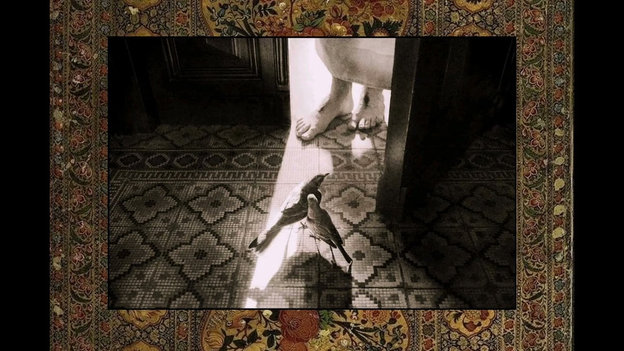 Eastern Mirage | Oksana Veliyeva 