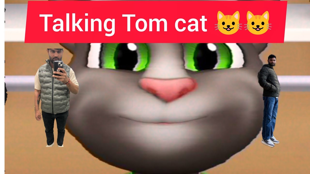 Talking Tom cat 😺😺😺#shorts