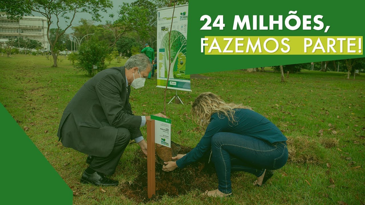 Plantio de &Aacute;rvores PTI Brasil