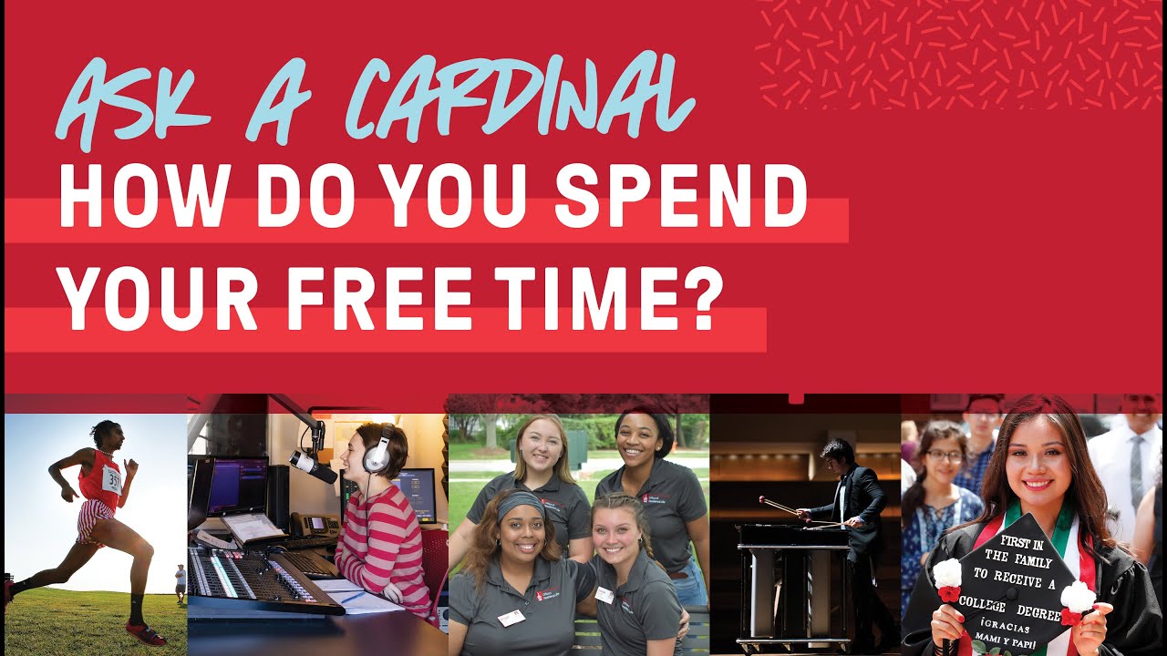How do you spend your free time?