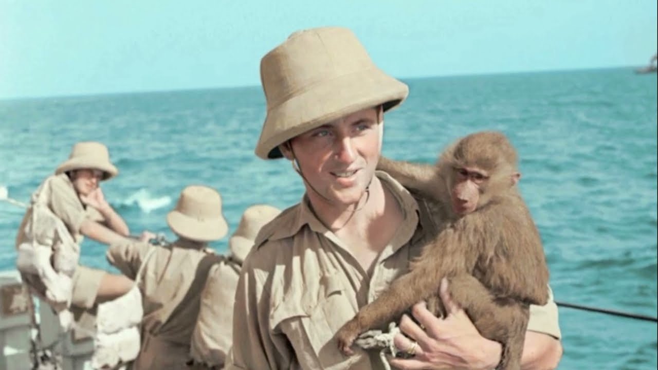 Samodzielna Brygada Strzelc&oacute;w Karpackich 1940-42/Wydarzenie dnia