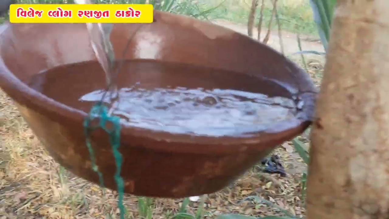 આજ શાકભાજી માં નીંદવાનુ કામ આવ્યું#villagevlog #farming #gujarativlog  યુટ્યુબ પર સોથી Best Vlog ❤️👍