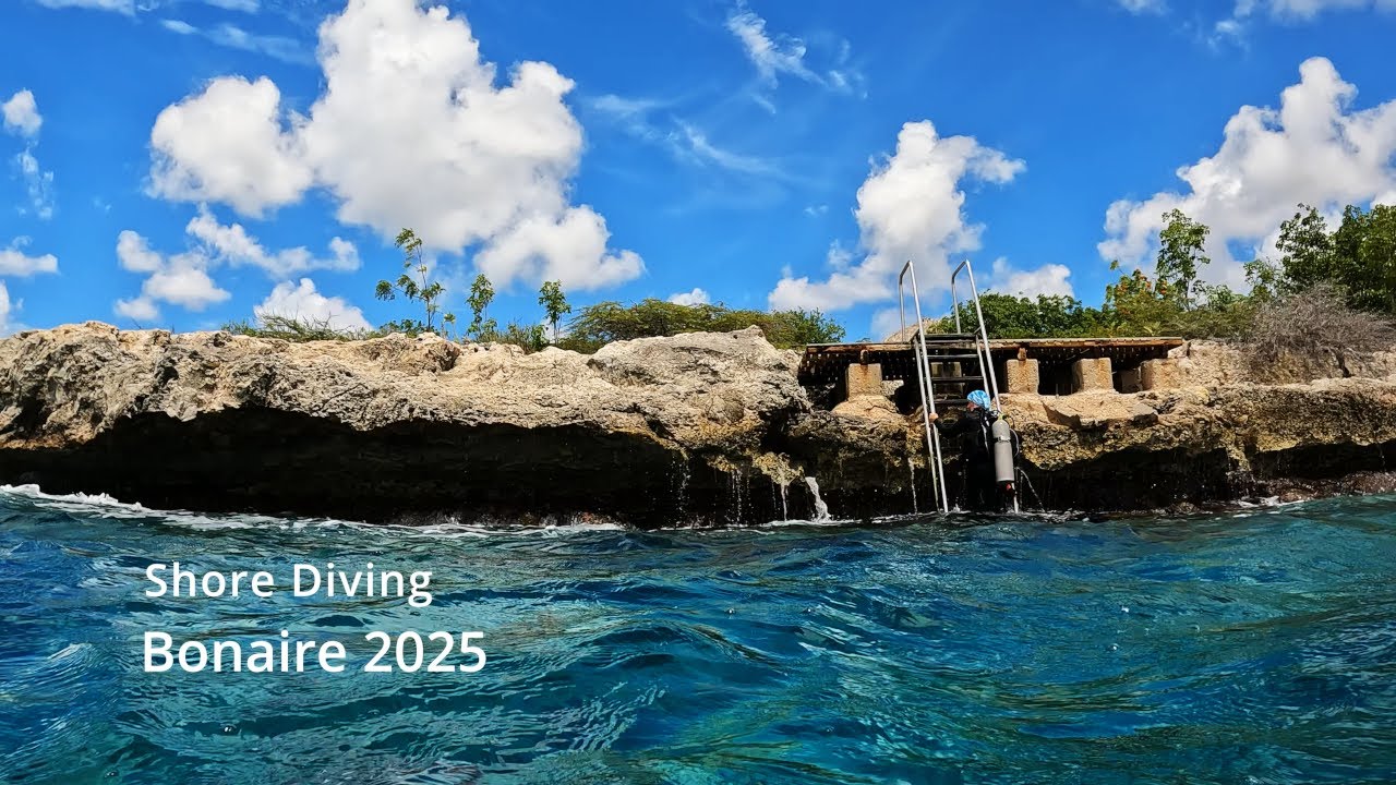 Shore Diving Bonaire 2025