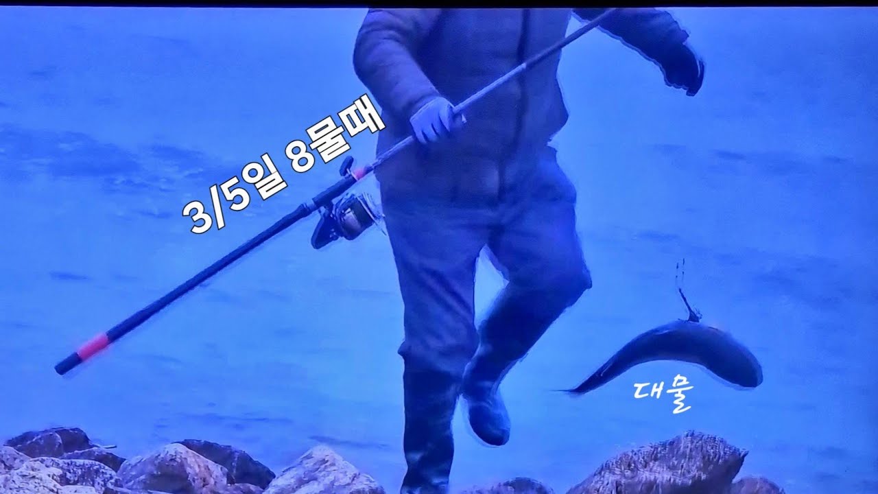 #영종도숭어훌치기 3/5 8물 #프로조사님만석   #장타캐스팅이대어 3~10수 조과