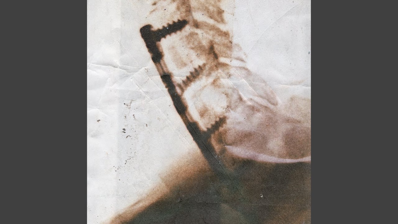 Spleen