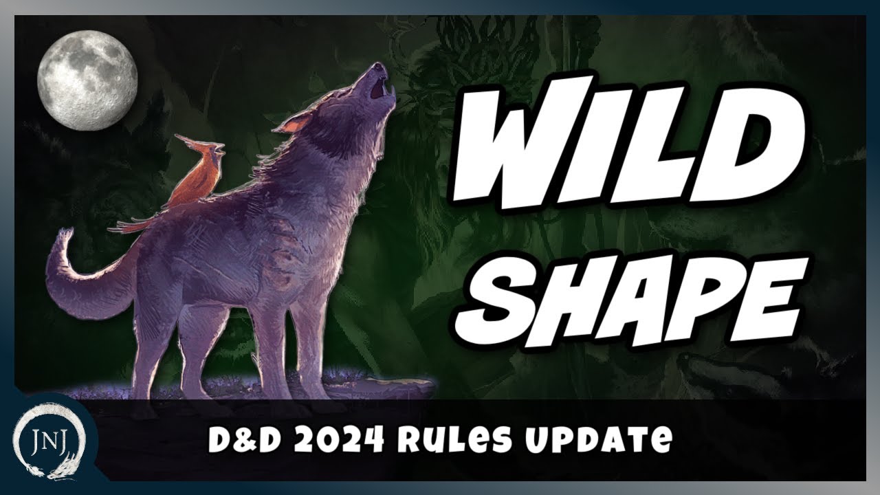 What's Different with Wild Shape in 2024 | D&D 2024 Rules Update