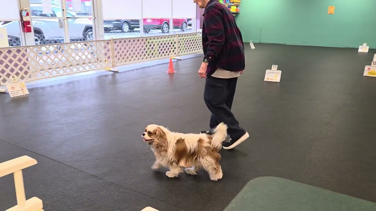 Bobby and Lilly 3/3 RAV-5