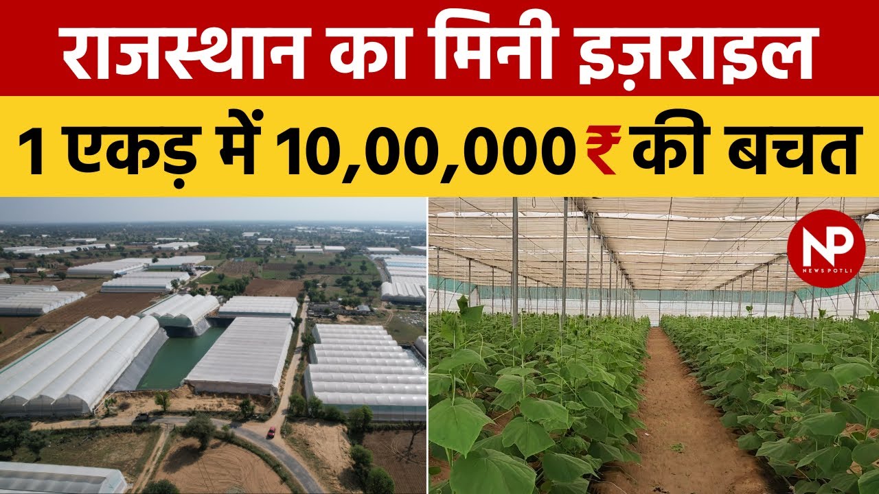 खेती से करोड़ों रुपए  🔥💯 कमाते हैं Mini Israel के किसान || Polyhouse Farming || News Potli #kheti