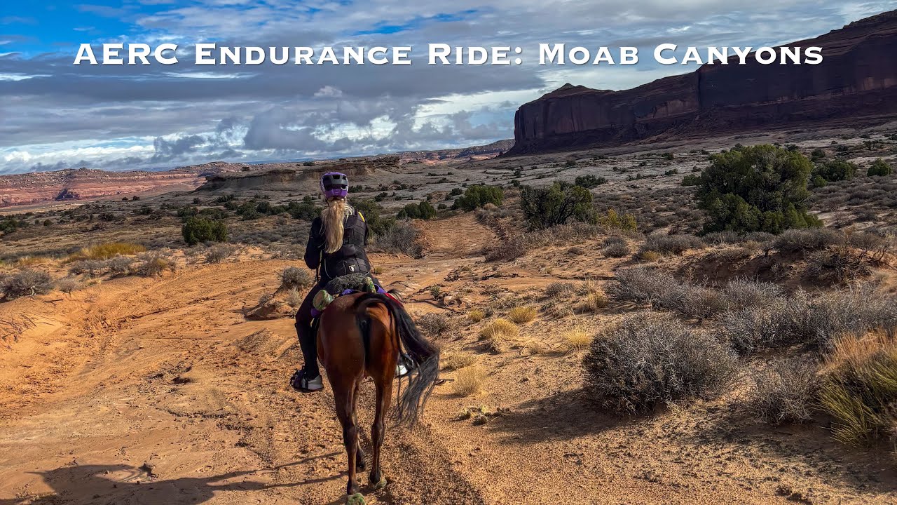 Moab Canyons AERC Endurance Ride