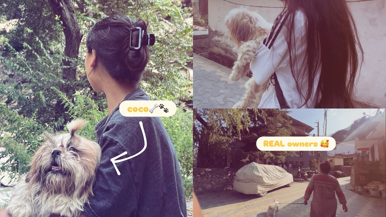 Who is the owner of coco ???? ||| Part-01 ||| 