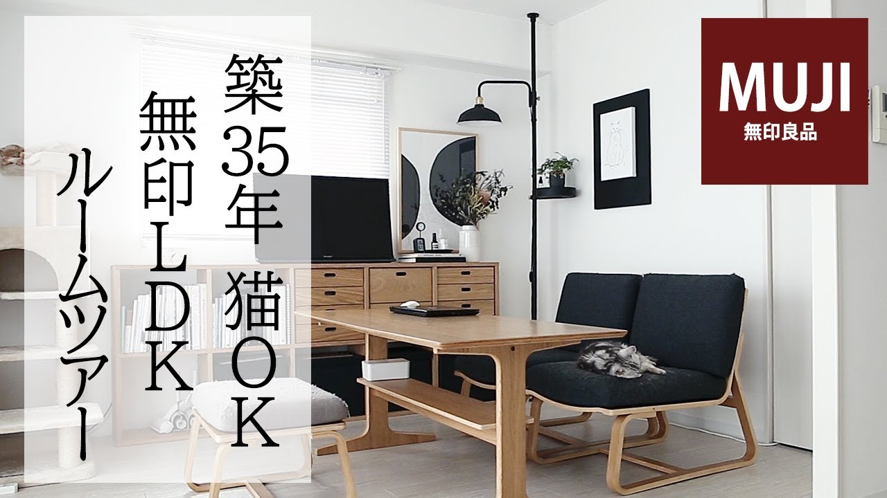 【引っ越しました】無印収納で作るキッチン＆ＬＤＫルームツアー/壁穴が目立ちにくい壁美人を使う/収納実例/MUJI HAUL/購入品紹介/保護猫と暮らす/猫と一人暮らし