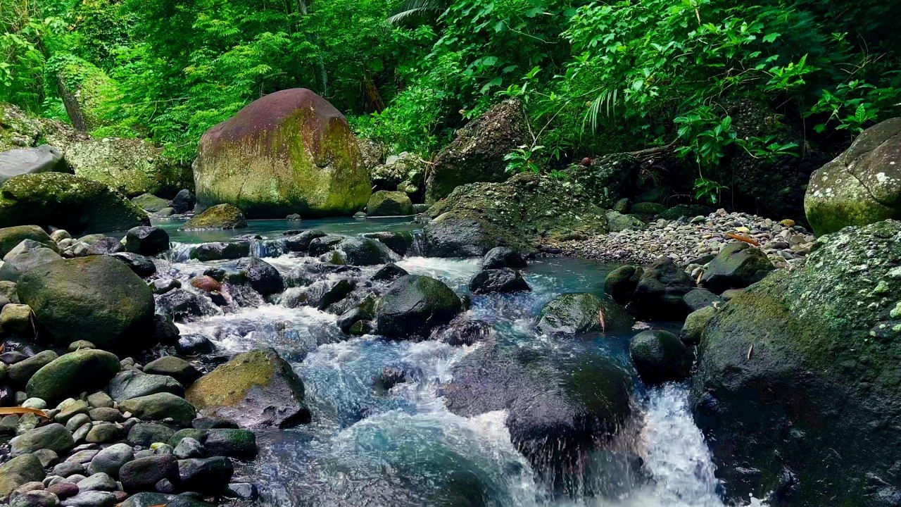 Tranquil Green River Soundscape - Relax and Sleep Deeply in Nature Ambiance