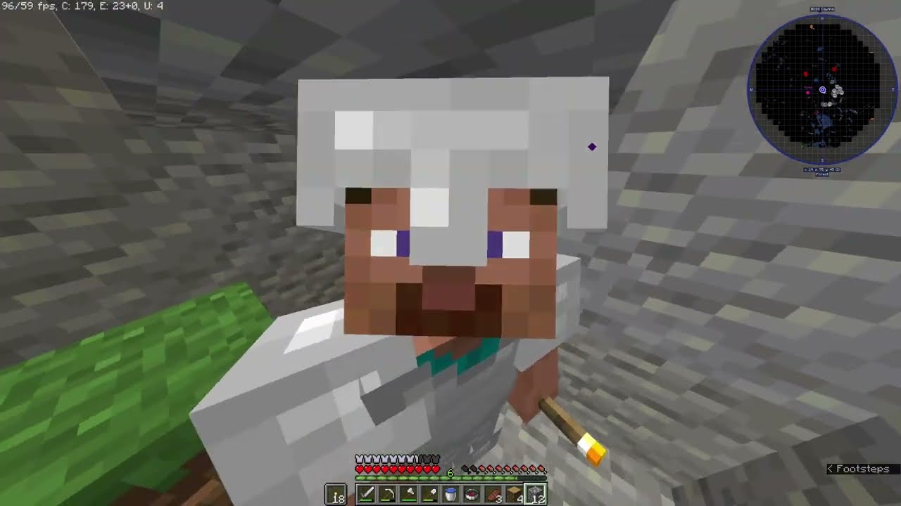 21 Minutes Of Survival Minecraft | No commentary