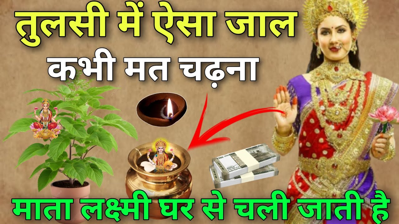 तुलसी में ऐसा जल कभी 😱 मत चढ़ना, नहीं तो माता लक्ष्मी हमेशा के लिए घर छोड़ कर चली जायेगी/ Tulsi Puja