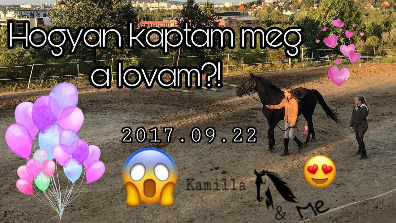 Hogy kaptam meg a lovam?! | Kamilla and Me