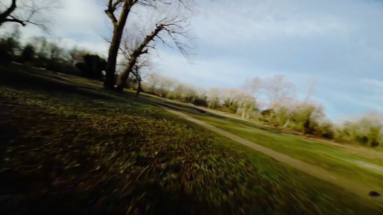 FPV THERAPY. 