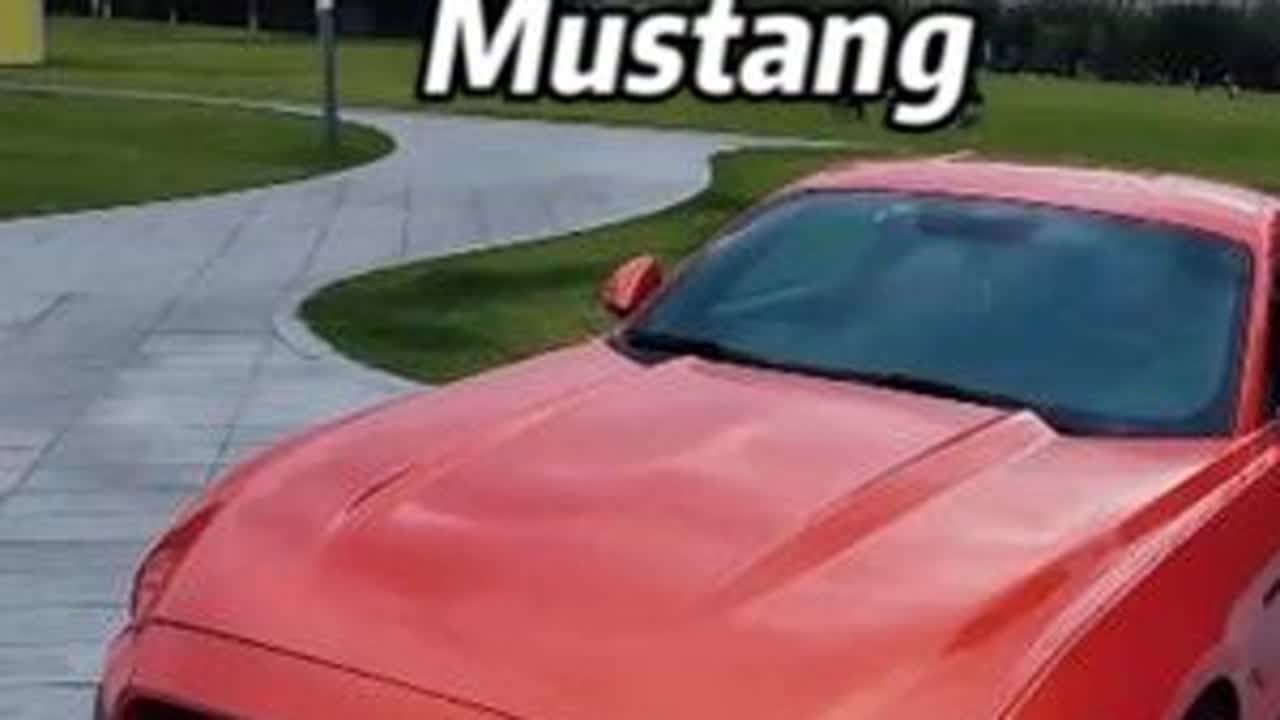 爱上一匹野马，可我的家里没有草原 #肌肉车 @福特MUSTANG #福特野马 #第一视角 #外观 #玩车